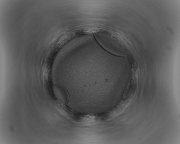 X0000113070227200909250935