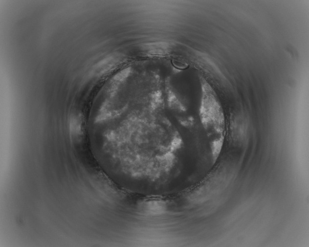 X0000113070228200909250935