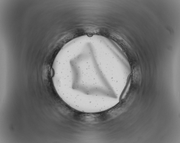 X0000113070229200909250935