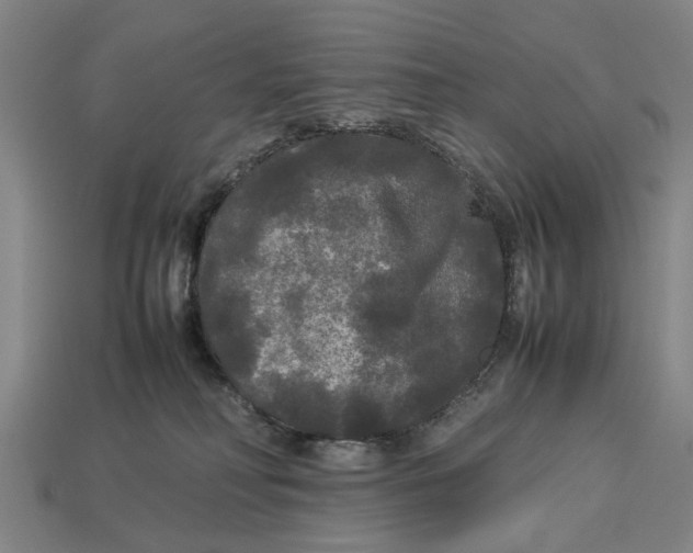 X0000113070230200909250935