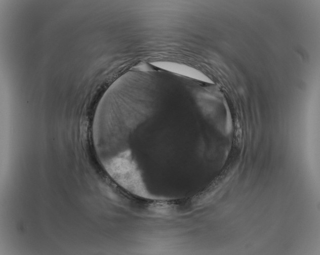 X0000113070231200909250935