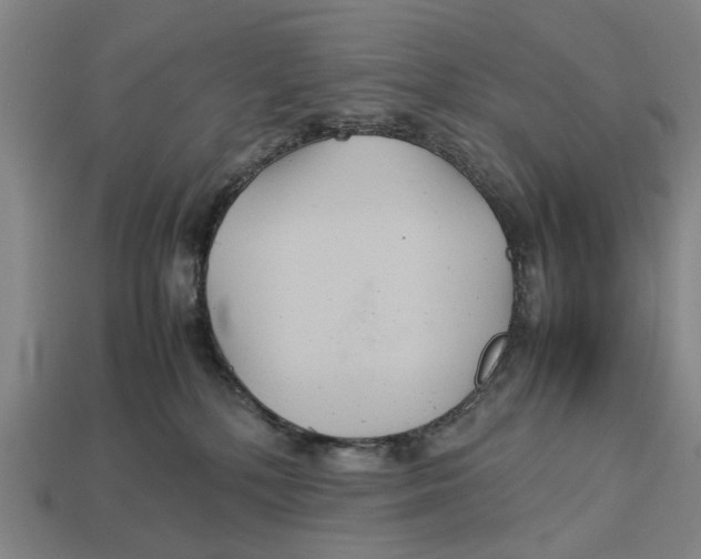 X0000113070232200909250935