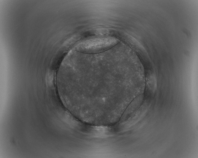 X0000113070233200909250935