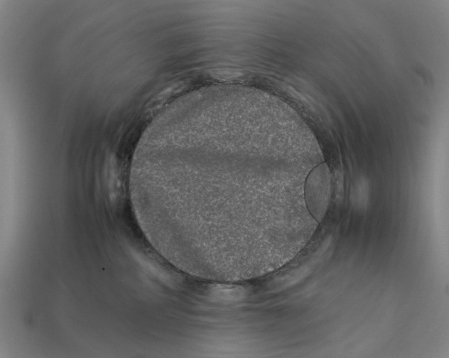 X0000113070234200909250935