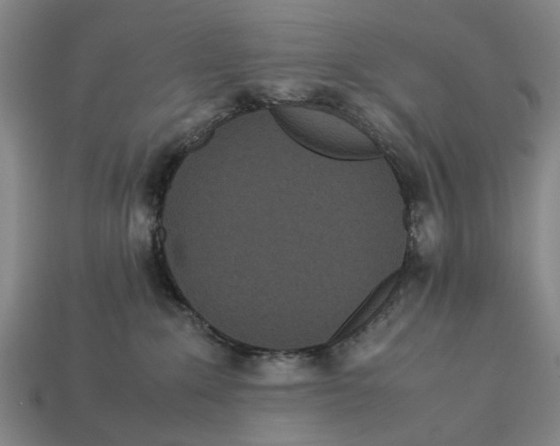 X0000113070235200909250935
