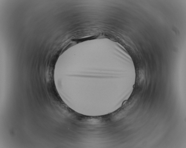 X0000113070236200909250935