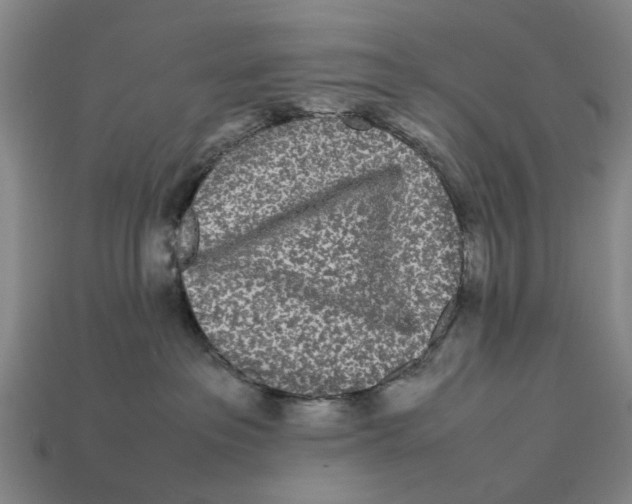 X0000113070237200909250935