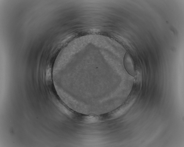 X0000113070238200909250935