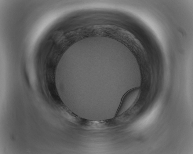 X0000113070239200909250935