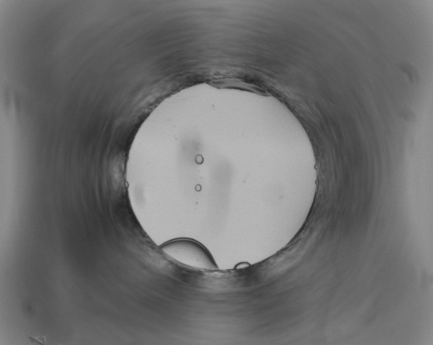 X0000113070240200909250935