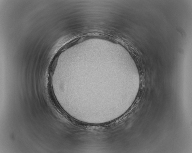 X0000113070242200909250935
