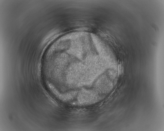 X0000113070243200909250935