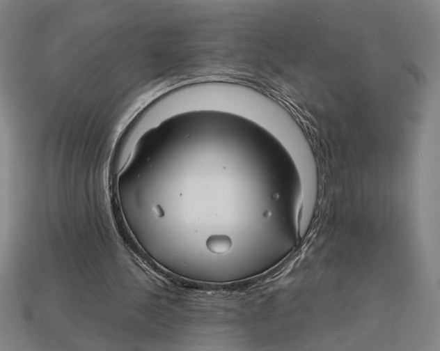 X0000113070244200909250935