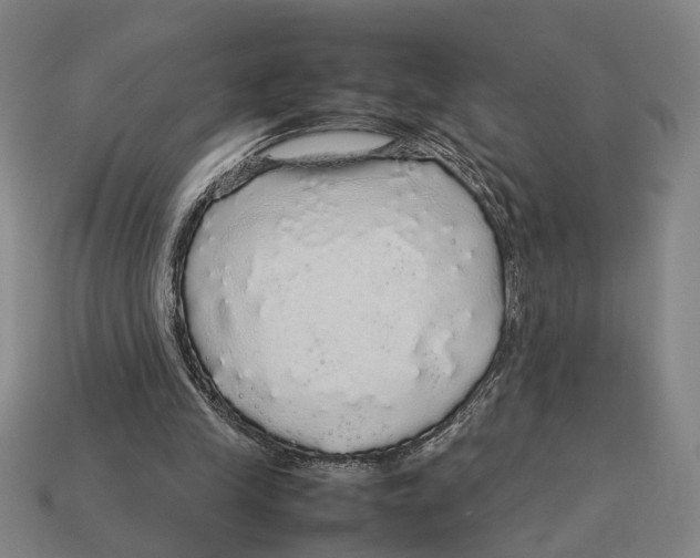 X0000113070245200909250935