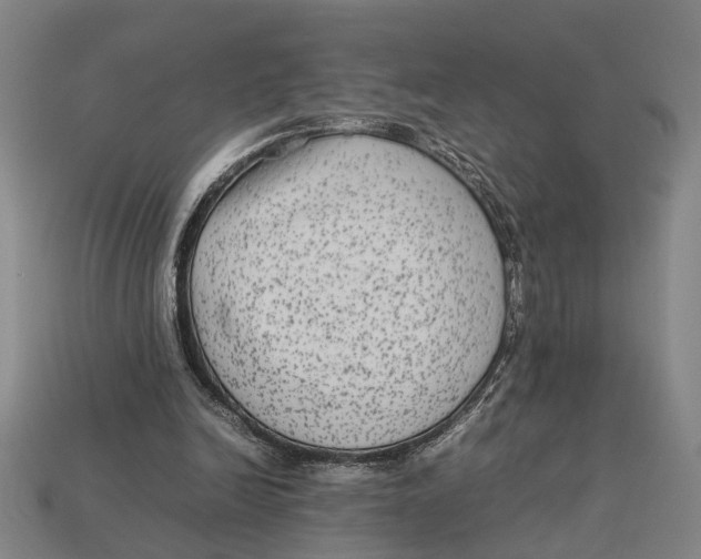 X0000113070246200909250935