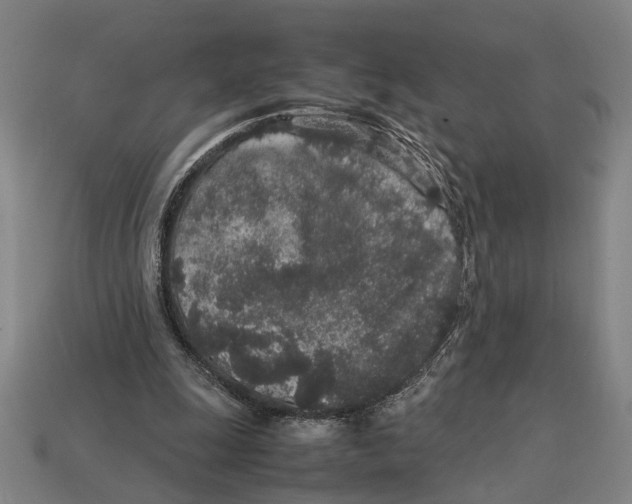 X0000113070247200909250935