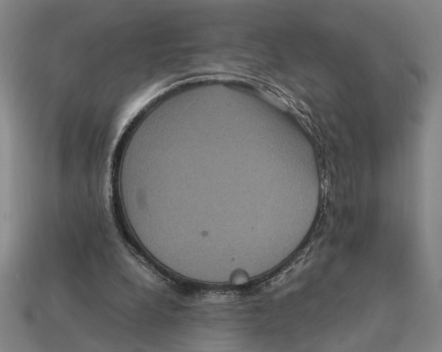 X0000113070248200909250935