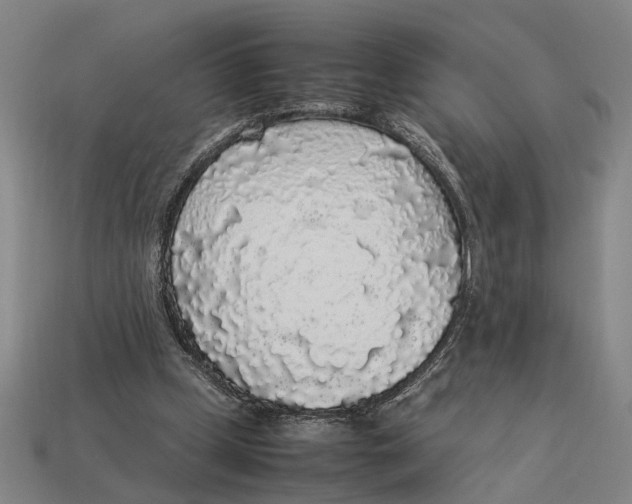 X0000113070249200909250935