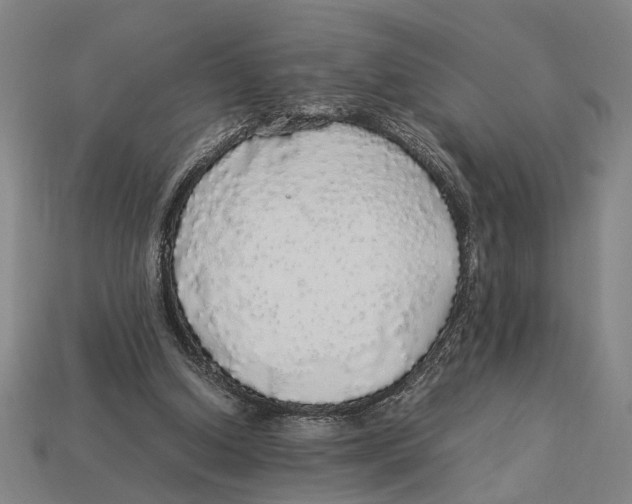 X0000113070250200909250935