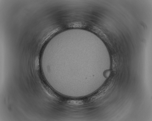 X0000113070251200909250935