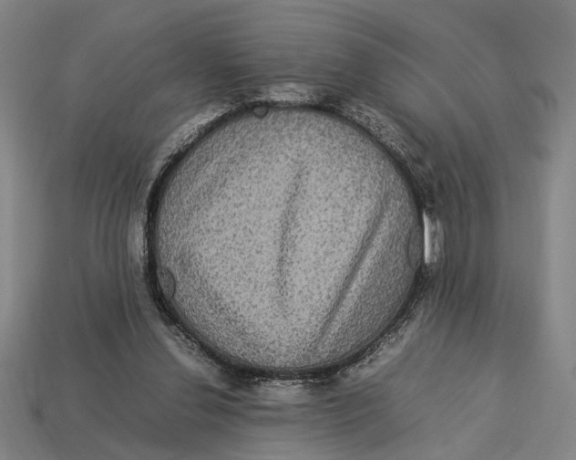 X0000113070252200909250935