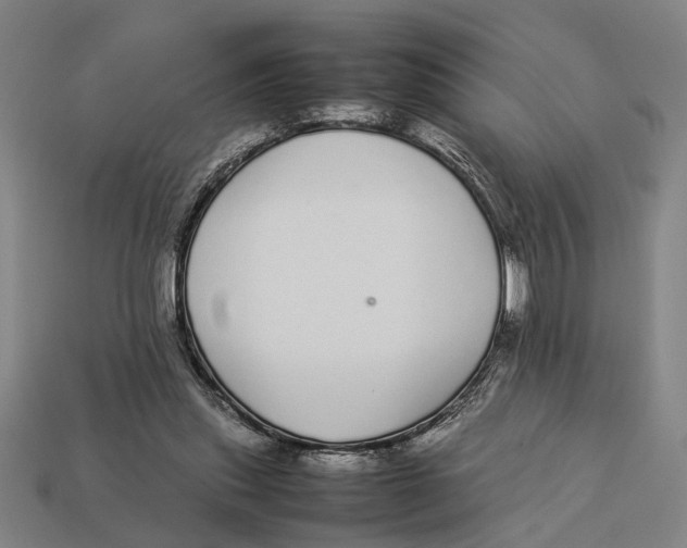 X0000113070253200909250935