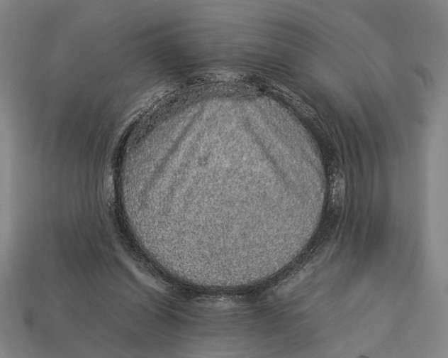 X0000113070254200909250935