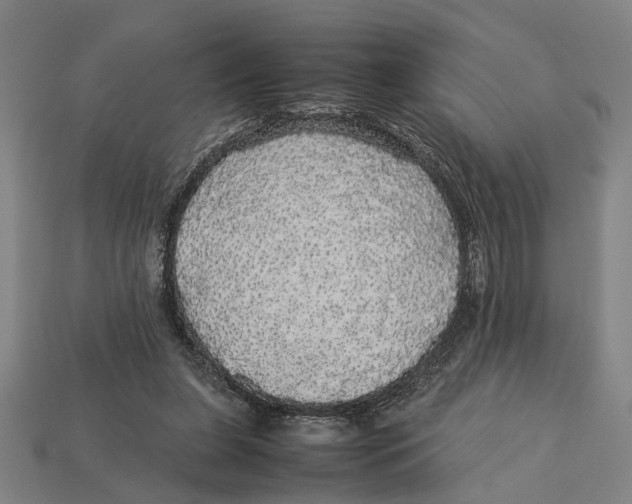 X0000113070255200909250935