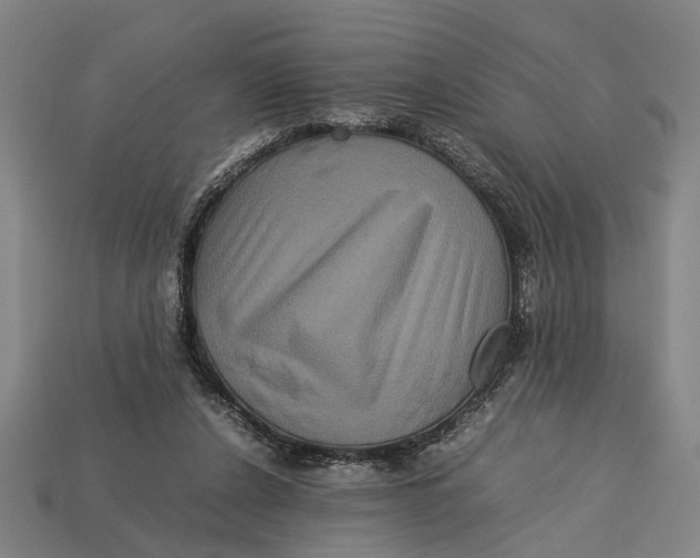 X0000113070256200909250935