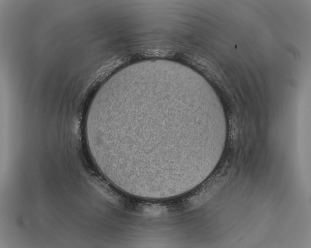 X0000113070258200909250935