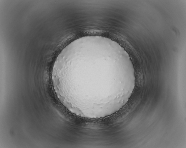 X0000113070259200909250935