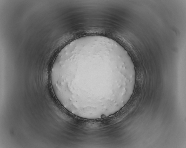 X0000113070261200909250935