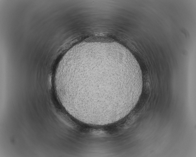 X0000113070262200909250935