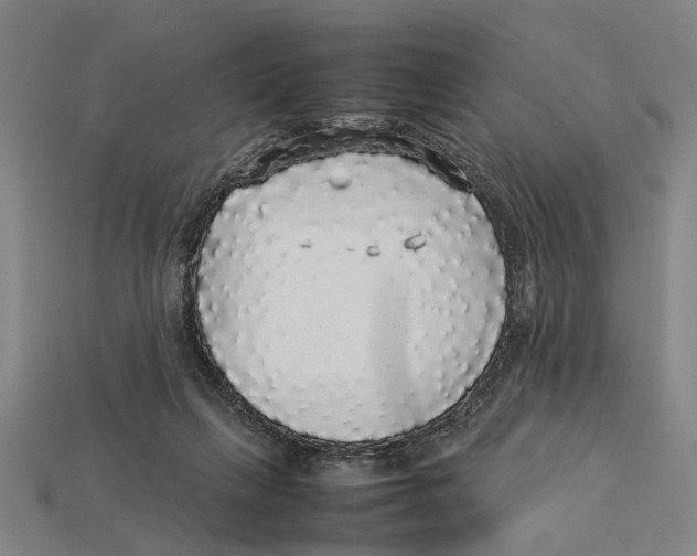 X0000113070263200909250935