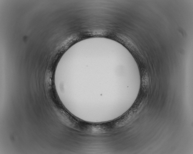 X0000113070264200909250935