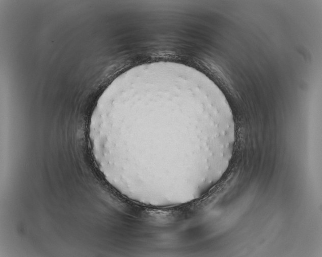 X0000113070265200909250935