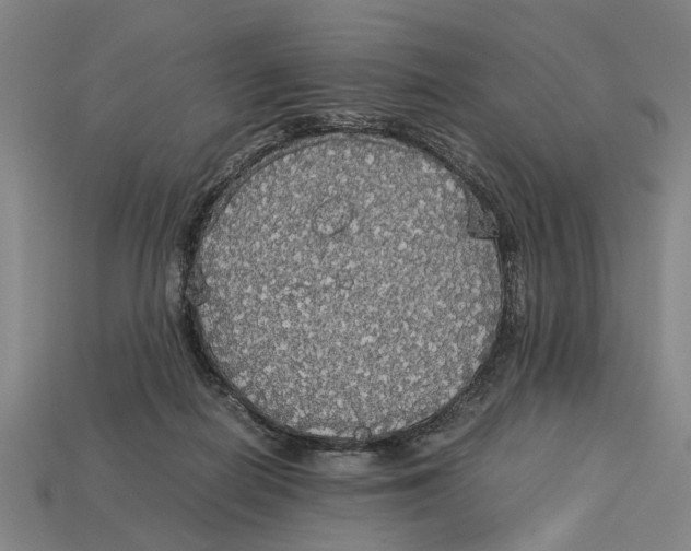 X0000113070266200909250935