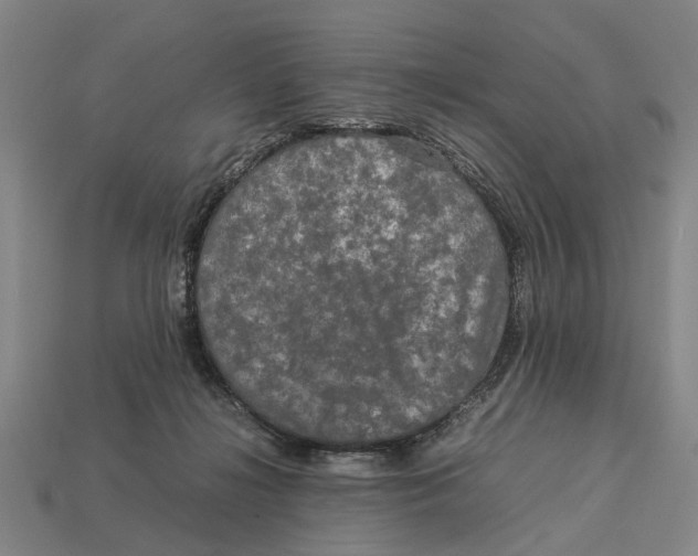 X0000113070268200909250935