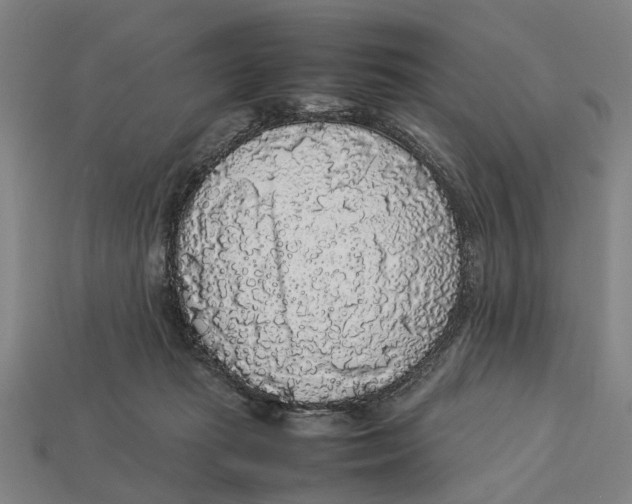 X0000113070269200909250935