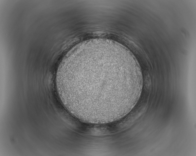 X0000113070270200909250935