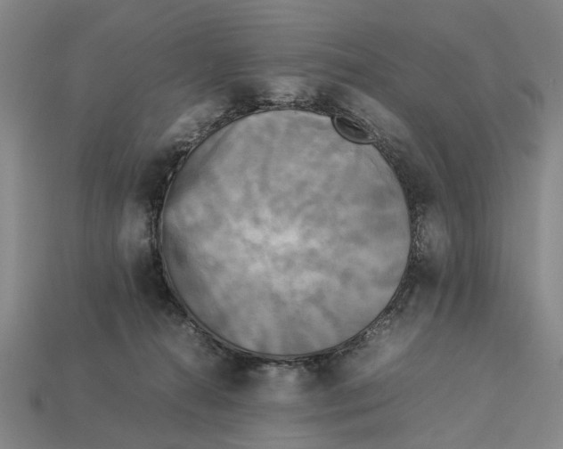 X0000113070272200909250935