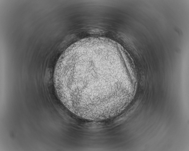 X0000113070273200909250935