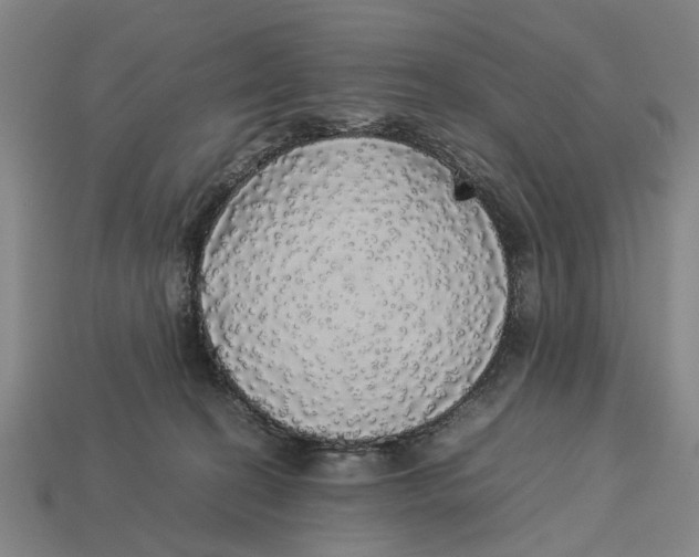 X0000113070274200909250935