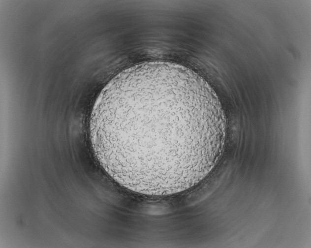 X0000113070275200909250935