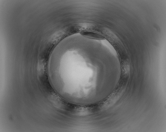 X0000113070276200909250935
