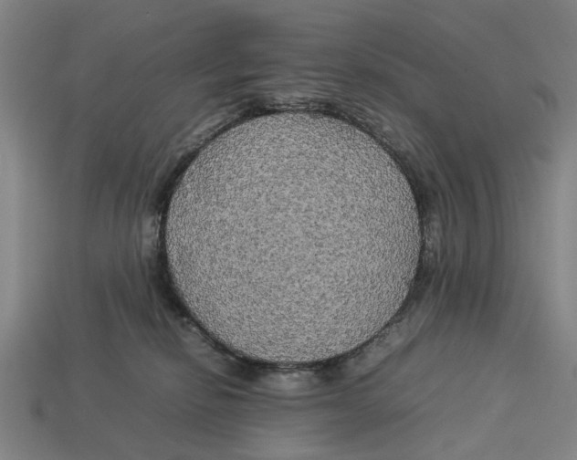 X0000113070278200909250935