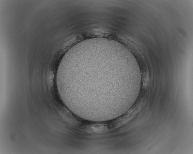 X0000113070279200909250935