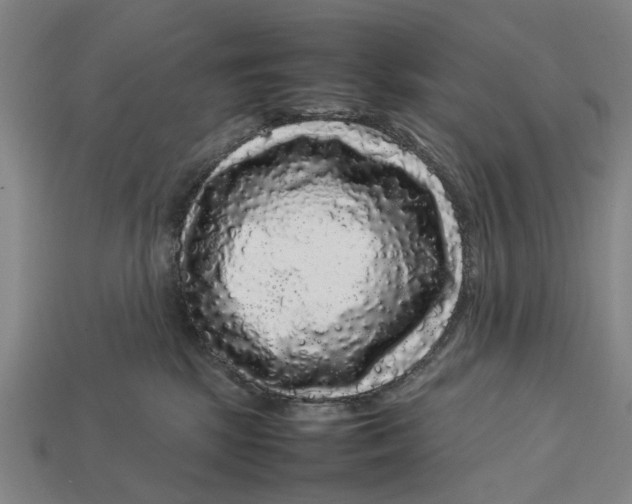 X0000113070281200909250935