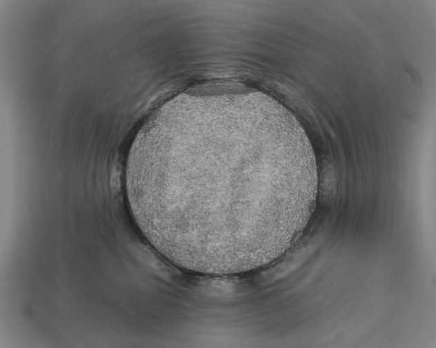 X0000113070282200909250935