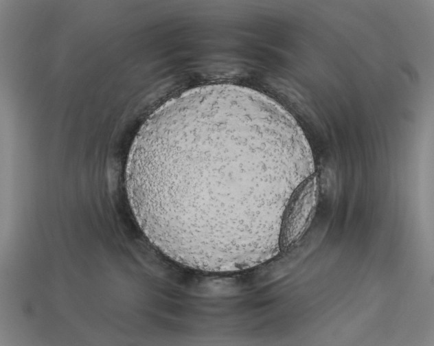 X0000113070283200909250935